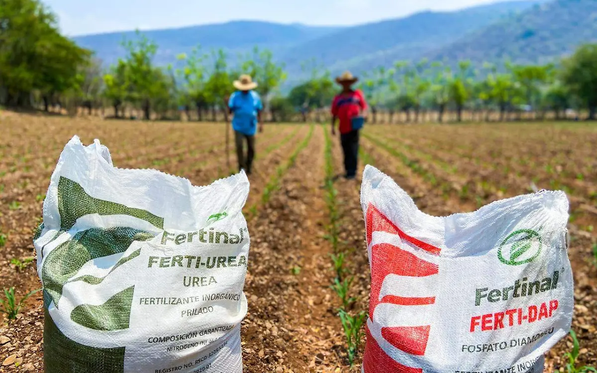 Inaugurarán dos plantas de fertilizante en Tamaulipas José Luis Tapia (1)